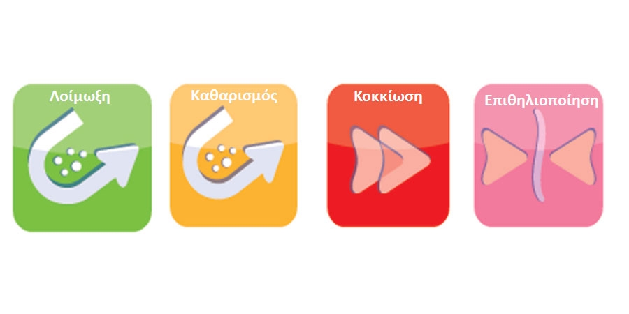 φάσεις επούλωσης